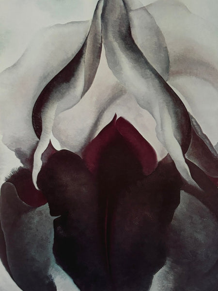 GEORGIA O'KEEFFE BOOK FROM 1977